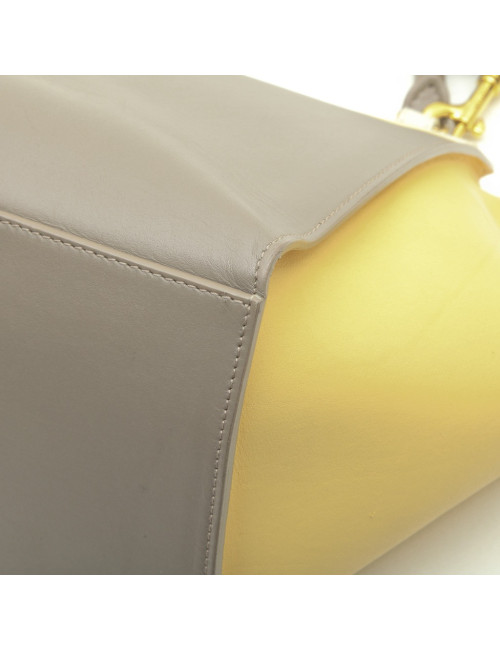 CELINE 'trapèze' bag in tricolor leather