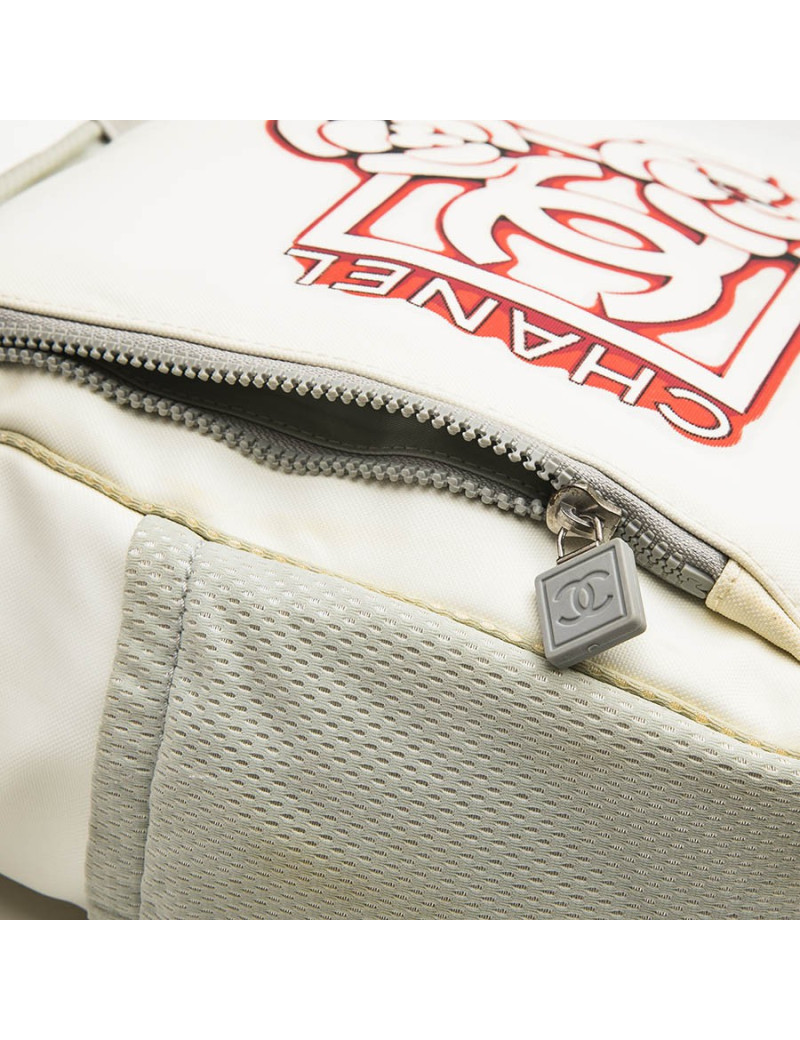 CHANEL bag in beige and grey canvas with CC, Chanel and camellia