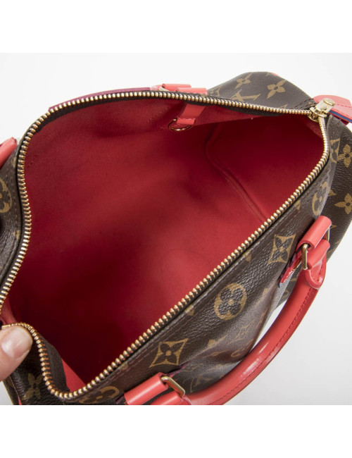 LOUIS VUITTON Speedy 30 limited edition bag in brown totem monogram canvas