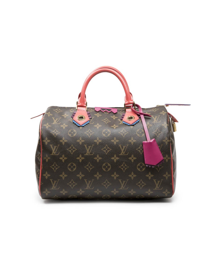LOUIS VUITTON Speedy 30 limited edition bag in brown totem monogram canvas
