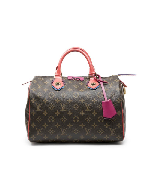 LOUIS VUITTON Speedy 30 limited edition bag in brown totem monogram canvas