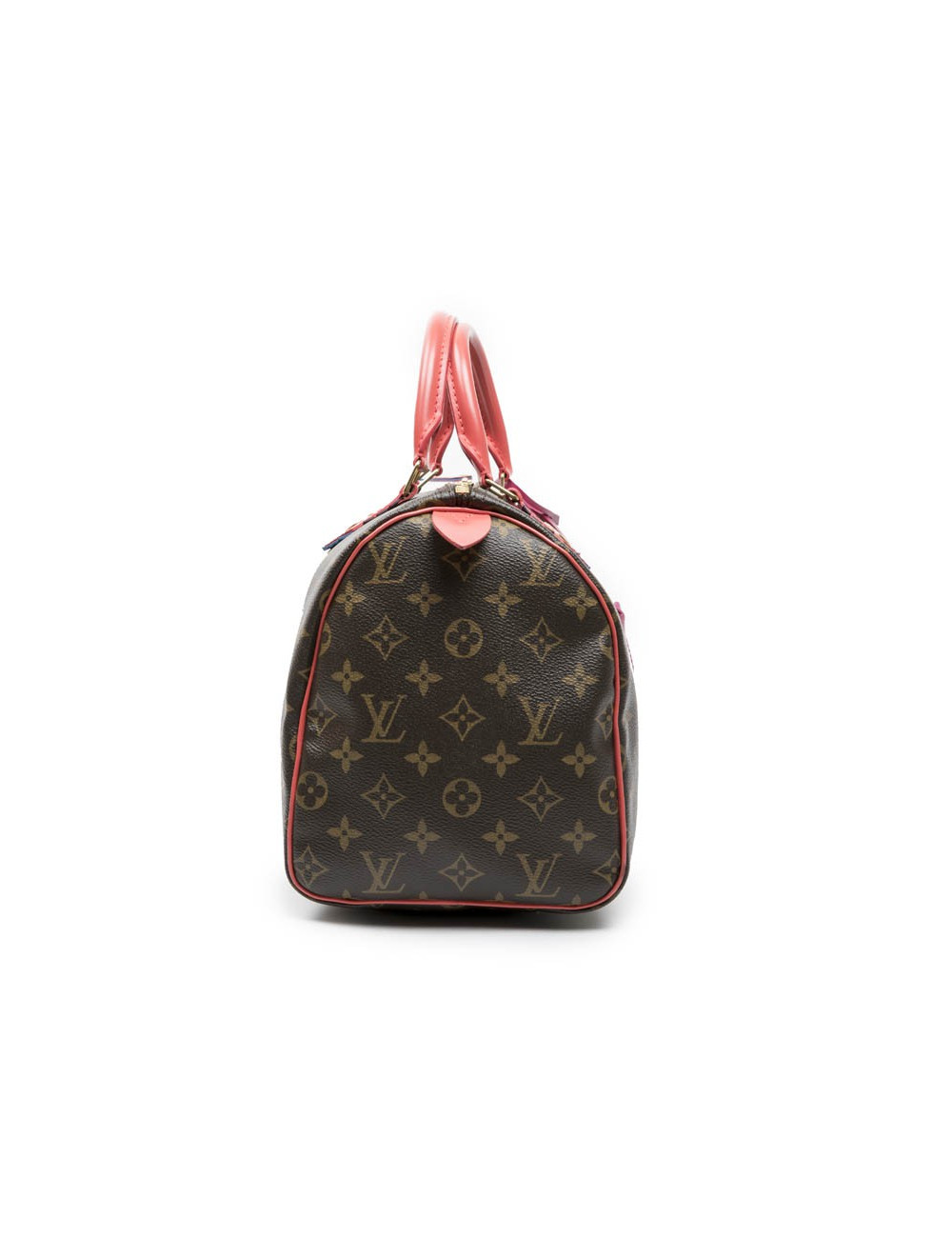 LOUIS VUITTON Speedy 30 limited edition bag in brown totem monogram canvas