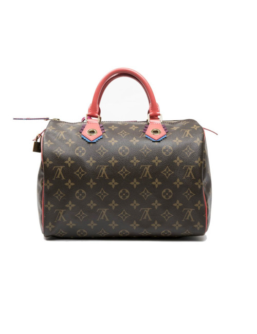 LOUIS VUITTON Speedy 30 limited edition bag in brown totem monogram canvas