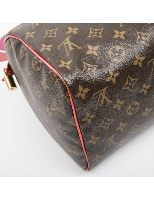 LOUIS VUITTON Speedy 30 limited edition bag in brown totem monogram canvas