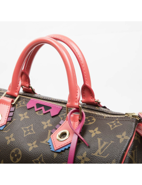LOUIS VUITTON Speedy 30 limited edition bag in brown totem monogram canvas