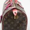 LOUIS VUITTON Speedy 30 limited edition bag in brown totem monogram canvas
