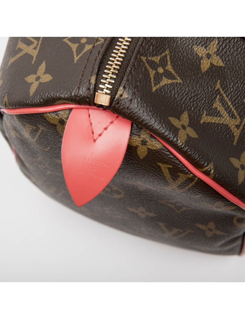 LOUIS VUITTON Speedy 30 limited edition bag in brown totem monogram canvas
