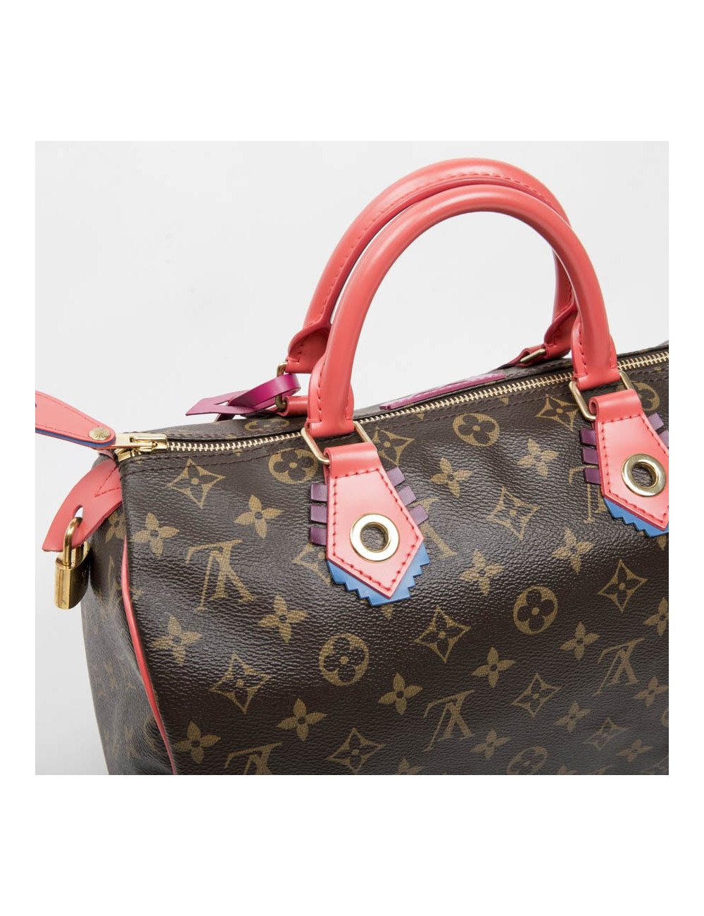LOUIS VUITTON Speedy 30 limited edition bag in brown totem monogram canvas