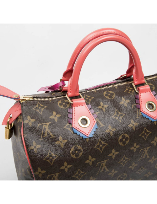 LOUIS VUITTON Speedy 30 limited edition bag in brown totem monogram canvas