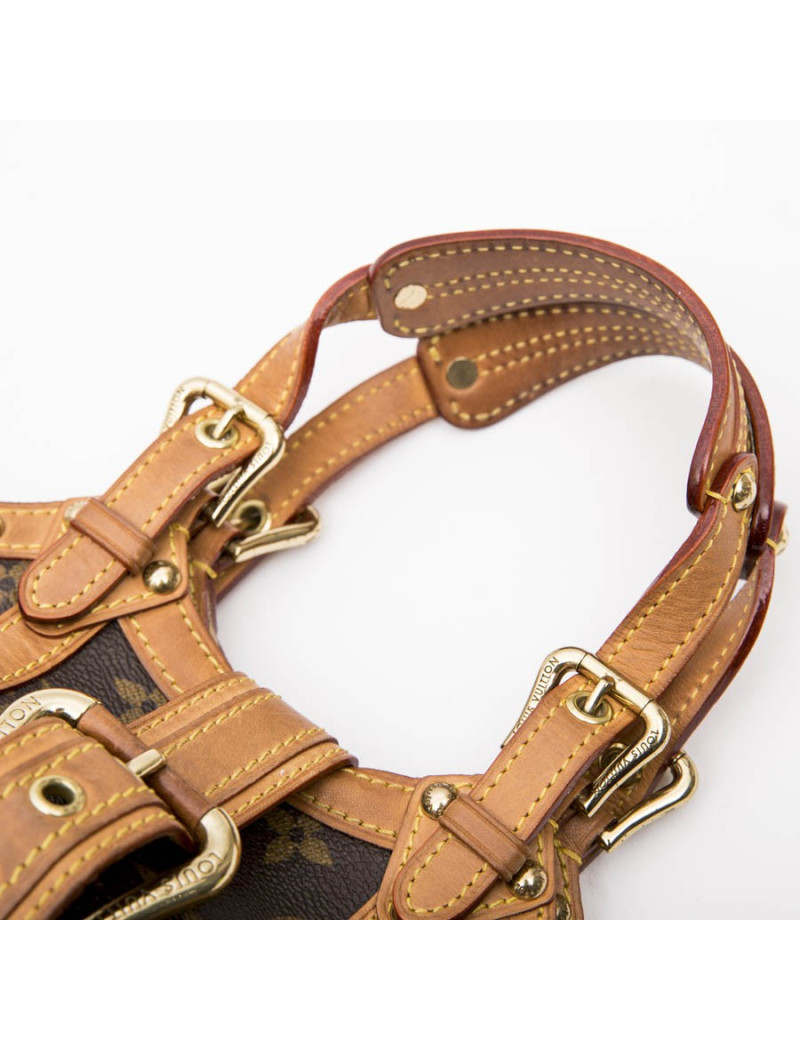 LOUIS VUITTON mini bag in brown monogram canvas