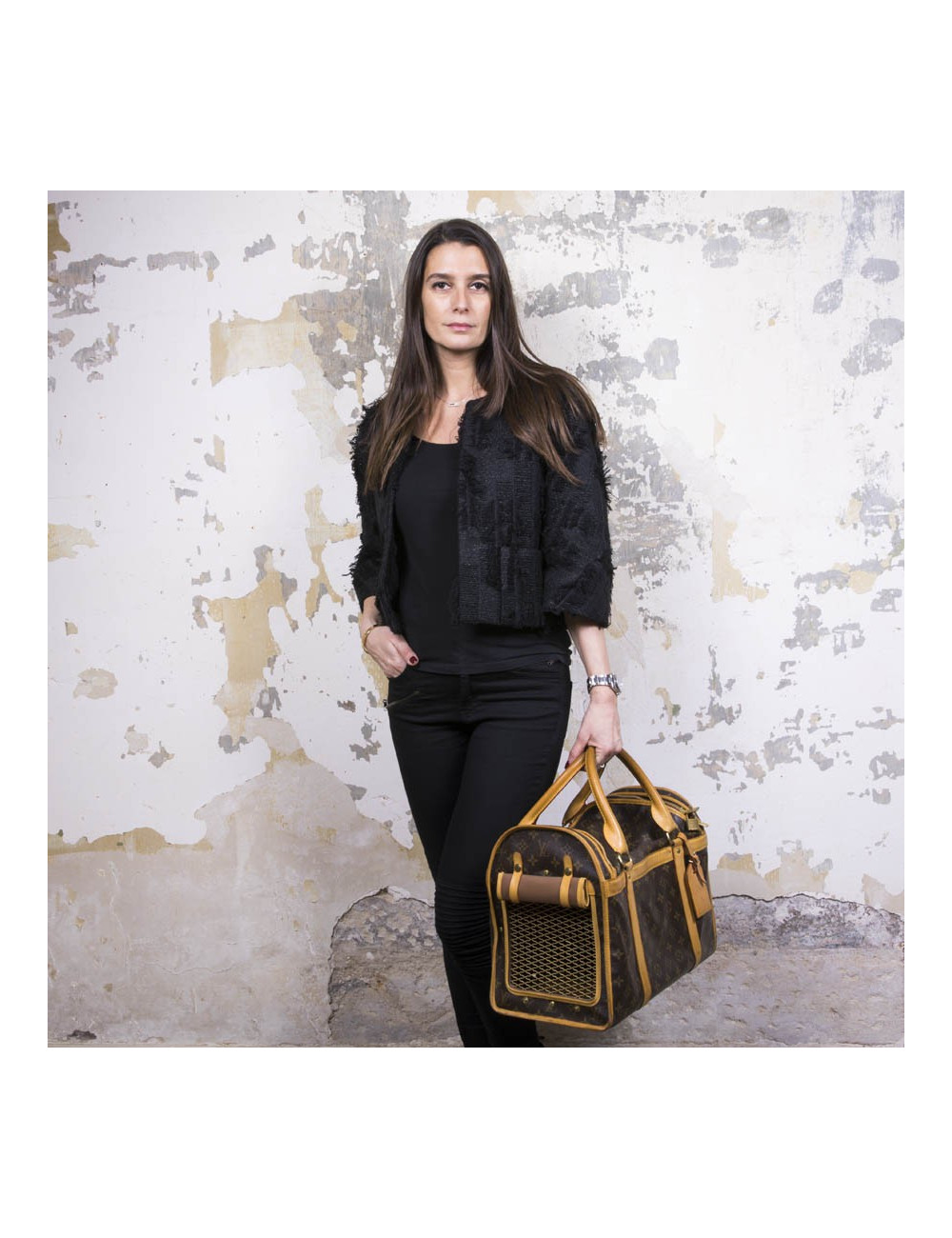 Sac chien LOUIS VUITTON T 40 en toile monogram