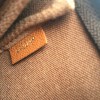 LOUIS VUITTON Wardrobe Trunks mini pouch in brown monogram canvas
