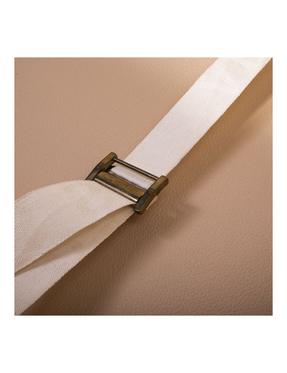 LOUIS VUITTON rigid travel case Bisten 70 monogram LV