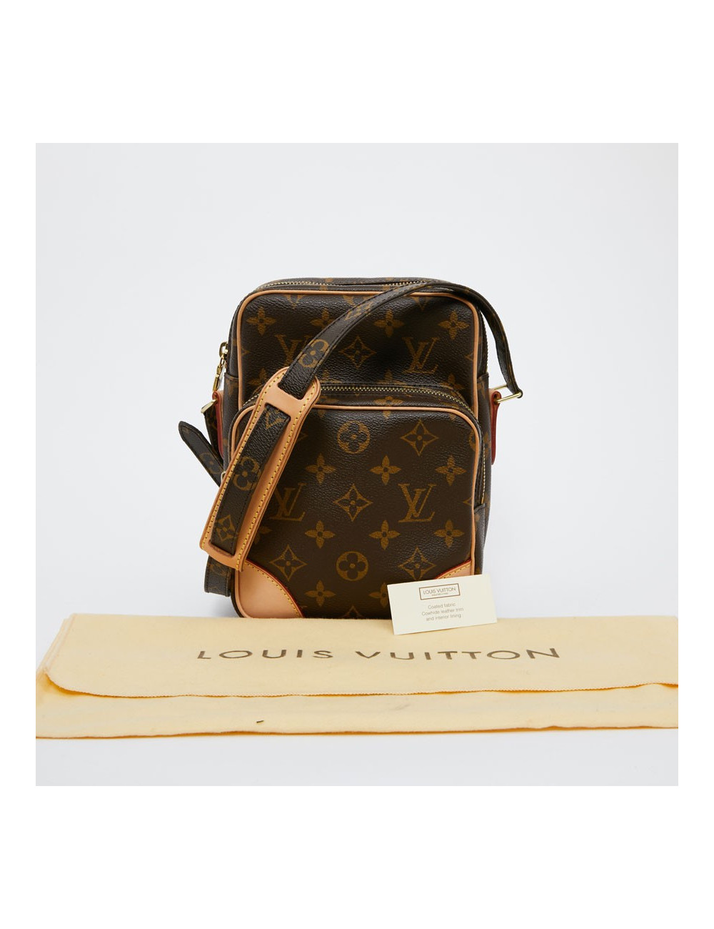 Sac LOUIS VUITTON Amazon 22 toile monogram