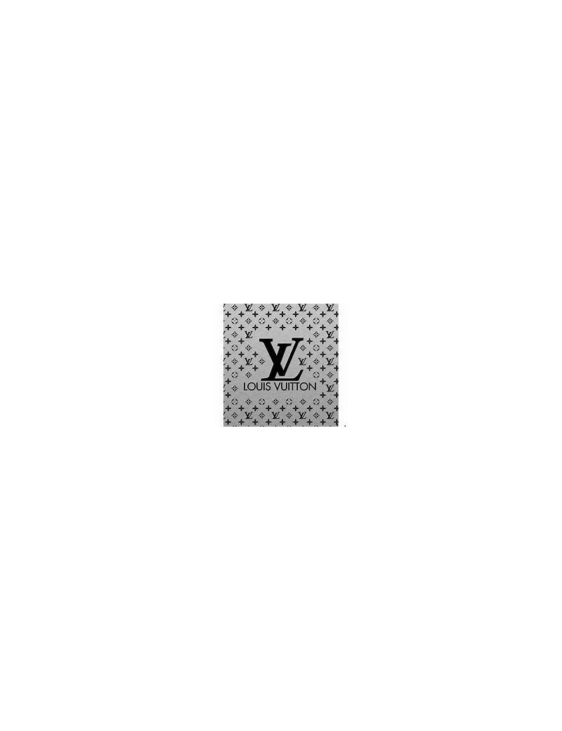 Speedy LOUIS VUITTON toile damier 