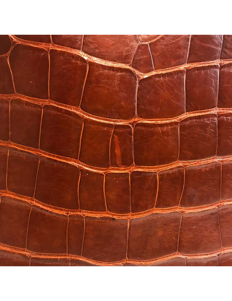 Kelly 32 alligator mat marron bijouterie or